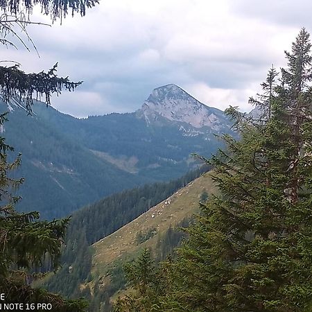 Haus Bergblick Fruehstueckspension Oberort ภายนอก รูปภาพ