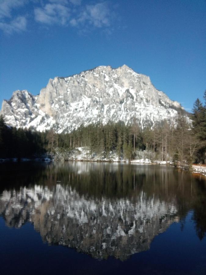 Haus Bergblick Fruehstueckspension Oberort ภายนอก รูปภาพ