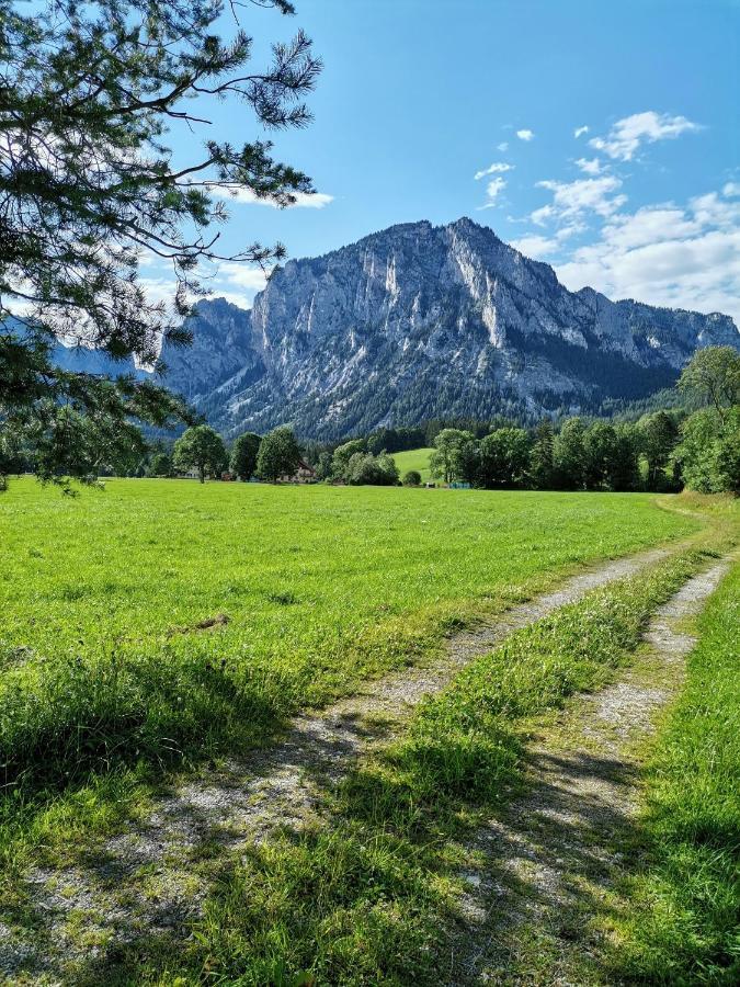 Haus Bergblick Fruehstueckspension Oberort ภายนอก รูปภาพ