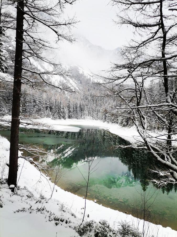 Haus Bergblick Fruehstueckspension Oberort ภายนอก รูปภาพ