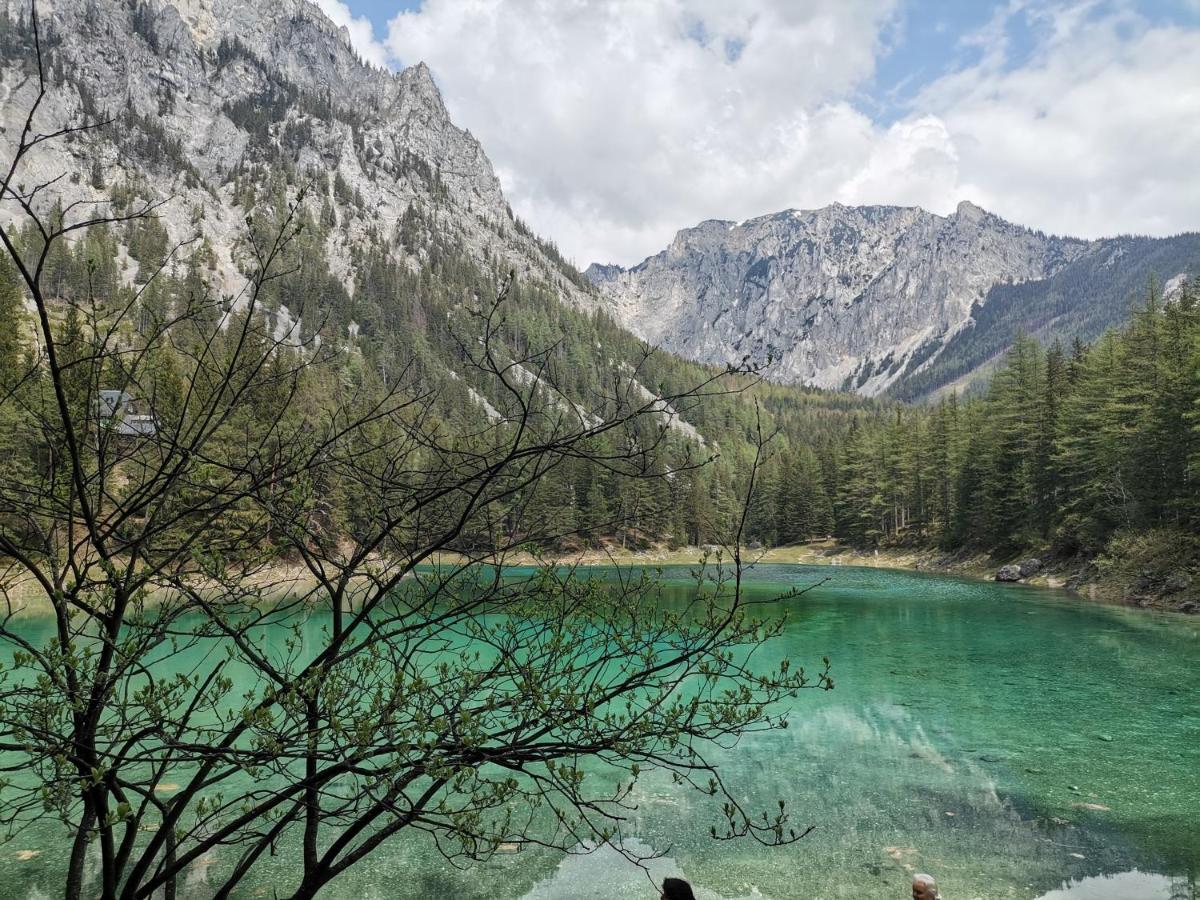 Haus Bergblick Fruehstueckspension Oberort ภายนอก รูปภาพ