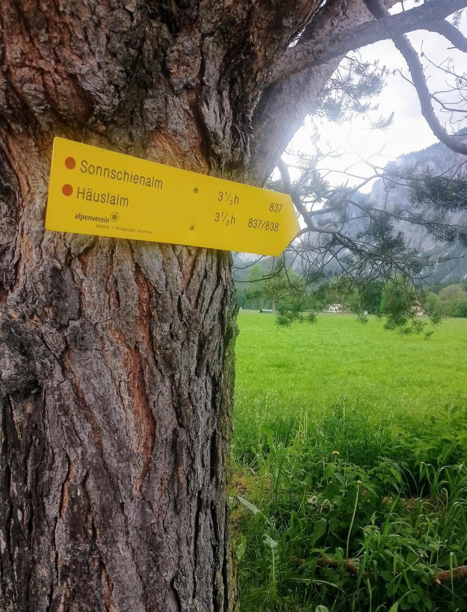 Haus Bergblick Fruehstueckspension Oberort ภายนอก รูปภาพ